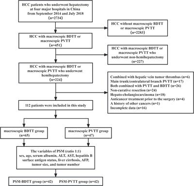 Long-term surgical outcomes of bile duct tumor thrombus versus portal vein tumor thrombus for hepatocellular carcinoma: a propensity score matching analysis